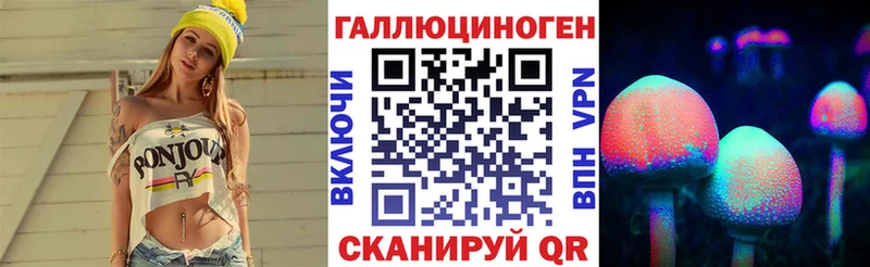 Галлюциногенные грибы Psilocybe  Апатиты 